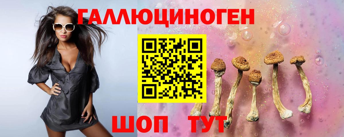 Псилоцибиновые грибы GOLDEN TEACHER Кировск